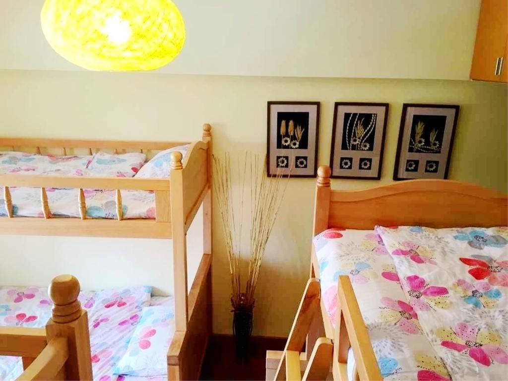 Kunming Cat Nest Female Youth Hostel Exterior photo